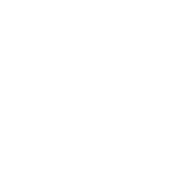 En savoir plus sur le projet Clinique vétérinaire Aliénor